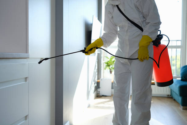 Best Professional Mold Removal  in Churchville, NY
